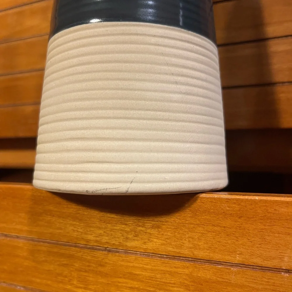 CRATE&BARREL Mid-Century Modern Style Vases